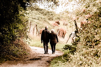 Senior couple walking on rural path with cows