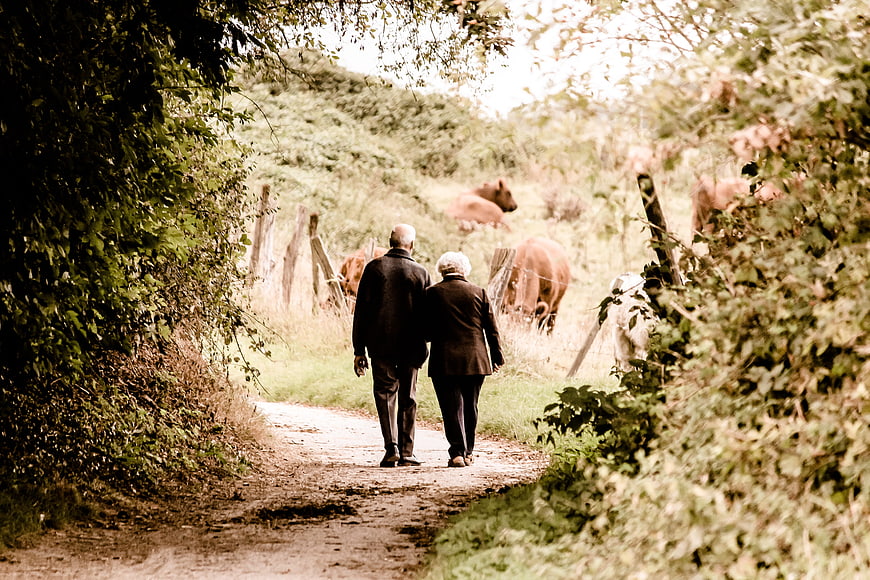 Senior couple walking on rural path with cows