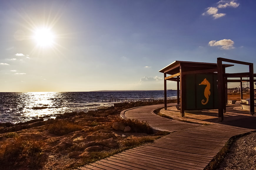 Wooden boardwalk path leading to seaside kiosk with seahorse logo