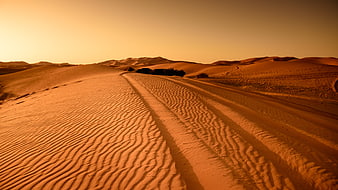 Golden sand dunes with tire tracks at sunset