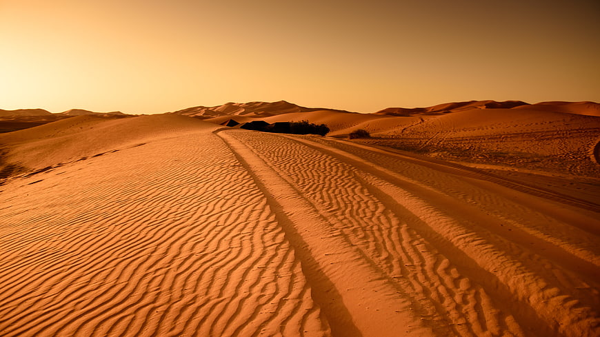 Golden sand dunes with tire tracks at sunset