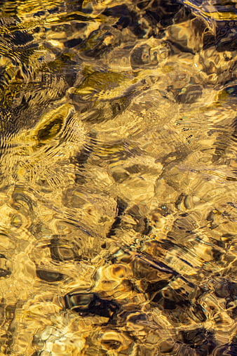 Golden Sunlight Reflecting on Rippled Water Surface