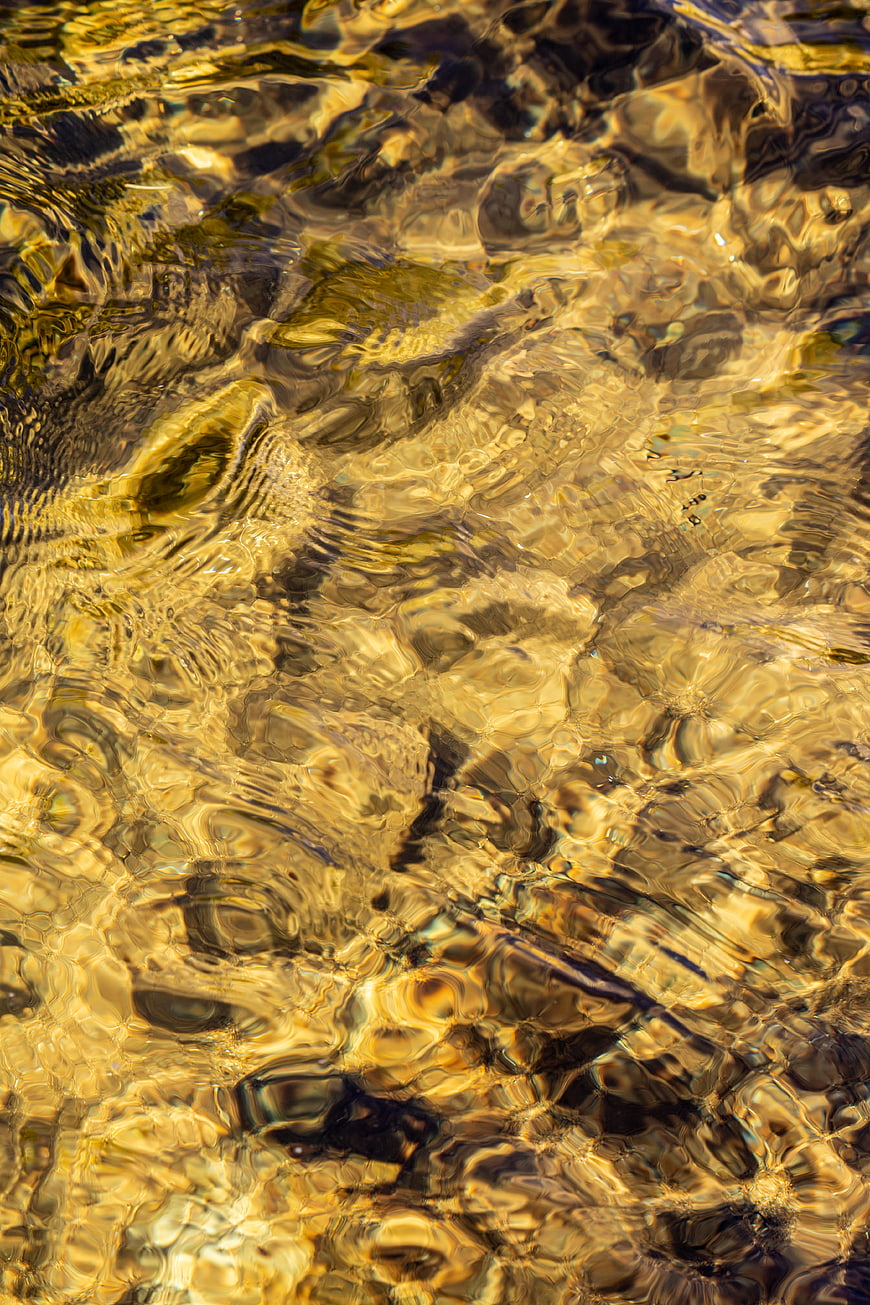 Golden Sunlight Reflecting on Rippled Water Surface
