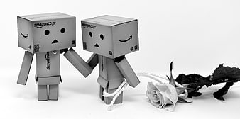 Danbo cardboard figures holding hands with a rose