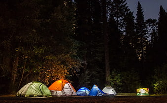 Colorful Camping Tents Glowing in Forest at Night