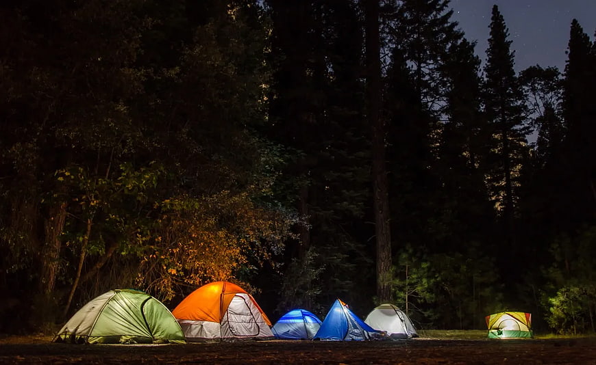 Colorful Camping Tents Glowing in Forest at Night