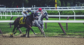 Two Jockeys Racing Horses on Dirt Track
