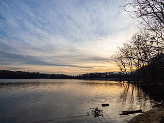 Serene Lake Sunset with Silhouetted Trees and Cloudy Sky