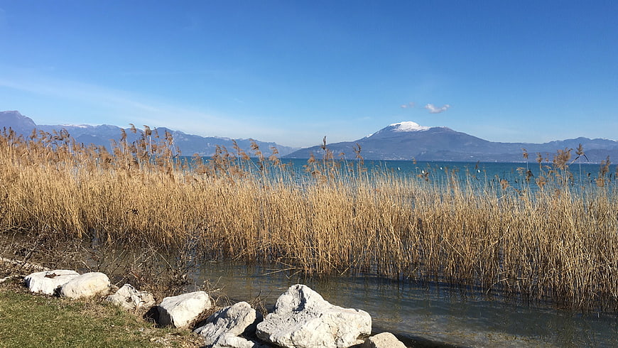 Winter landscape with reeds, lake, and snow-capped mountain