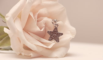 Silver Star Pendant Charm on White Rose