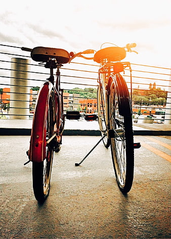 Two Vintage Bicycles Parked on Urban Bridge