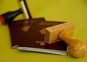 Wooden Stamp on Passports and Gavel on Green Background