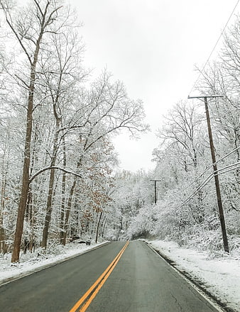 Snowy Winter Road Through Forest with Yellow Lines