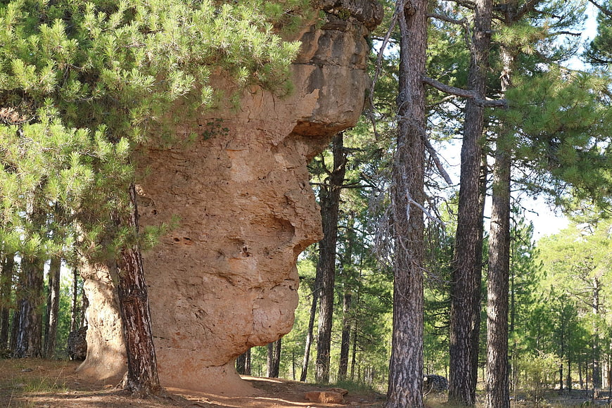 Natural rock formation resembling a face in pine forest