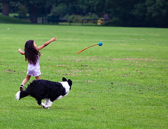 Little girl throwing ball for black and white dog in park
