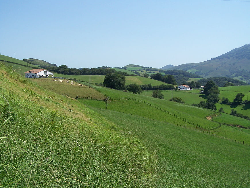 Rolling green hills with white farmhouse and grazing sheep