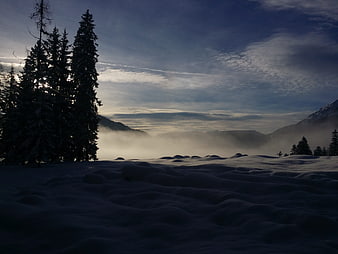 Misty Winter Mountain Landscape with Snowy Trees at Dawn