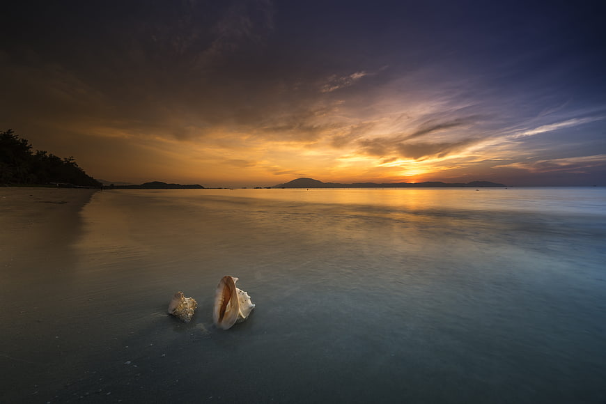 Seashells on wet sand at sunset with long exposure ocean