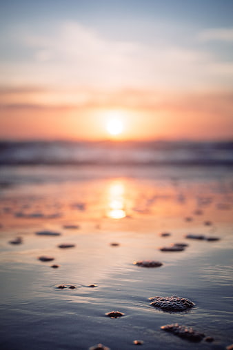 Serene Sunset Reflection on Wet Sandy Beach with Bubbles