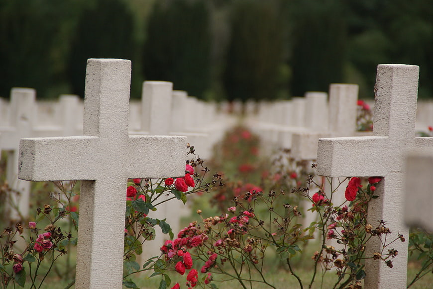 White stone crosses in a war cemetery with red roses