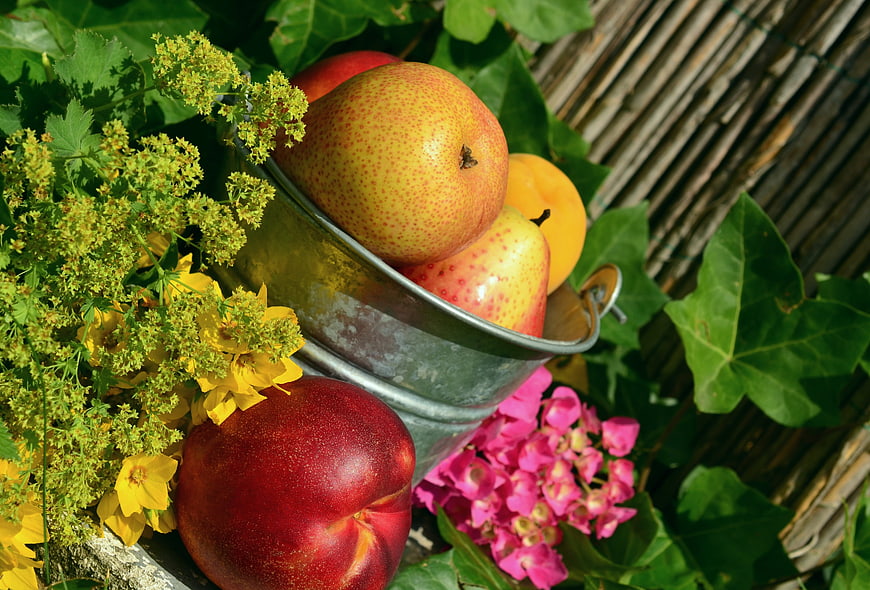 Ripe Apples And Peach In Metal Bucket With Garden Flowers