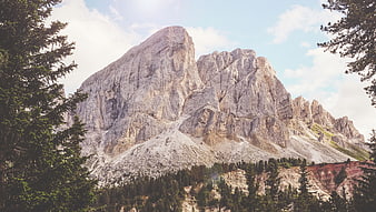 Majestic Dolomites Mountain Peak with Pine Trees