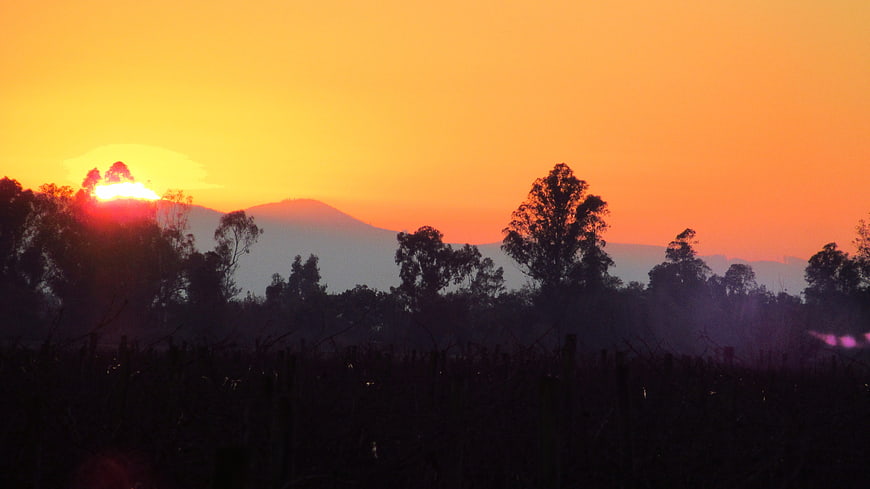 Vibrant orange sunset over silhouetted trees and mountains
