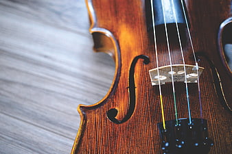 Close-up of a wooden violin body with strings and bridge