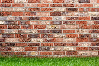 Textured Red Brick Wall with Green Grass Background