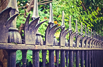 Close-up of ornate black metal fence with green foliage background