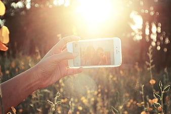 Hand holding smartphone taking selfie in sunny field