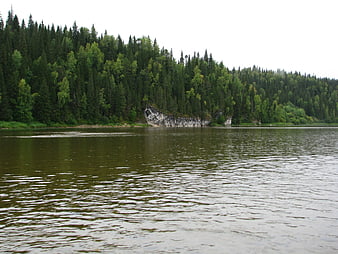 Calm River Flowing Past Dense Green Forest and Rocky Shore