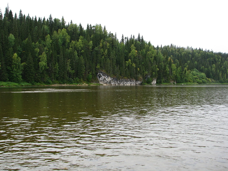 Calm River Flowing Past Dense Green Forest and Rocky Shore