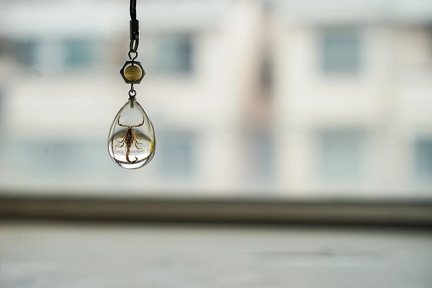 Scorpion in Glass Teardrop Pendant Hanging by Window