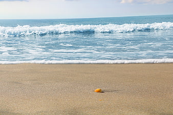 Small orange shell on sandy beach with breaking ocean waves