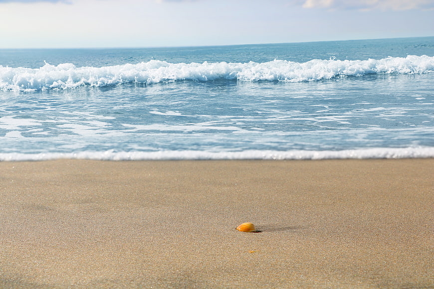 Small orange shell on sandy beach with breaking ocean waves