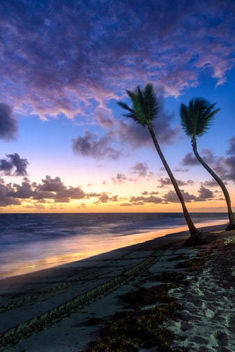 Tropical Beach Sunset with Palm Trees and Colorful Sky