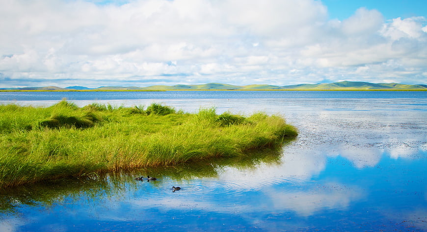 Serene Lake Landscape with Green Grass and Cloud Reflections