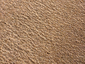 Close-up of wet sand texture with natural ripples and granular detail