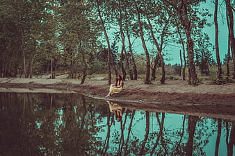 Woman in Yellow Dress Sitting by Lake with Reflection