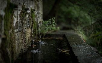 Mossy stone fountain with flowing water in a dark forest