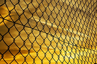 Chain link fence silhouette against golden sunset sky