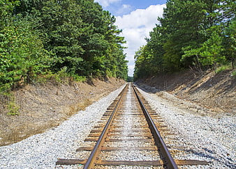 Railway tracks leading through a lush green forest landscape