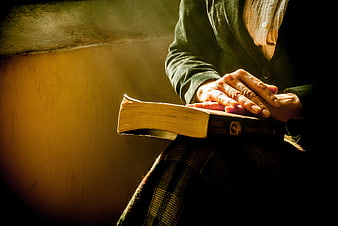 Woman holding book with warm sunlight and hands