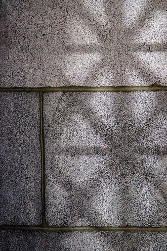 Textured Concrete Block Wall with Dappled Shadows