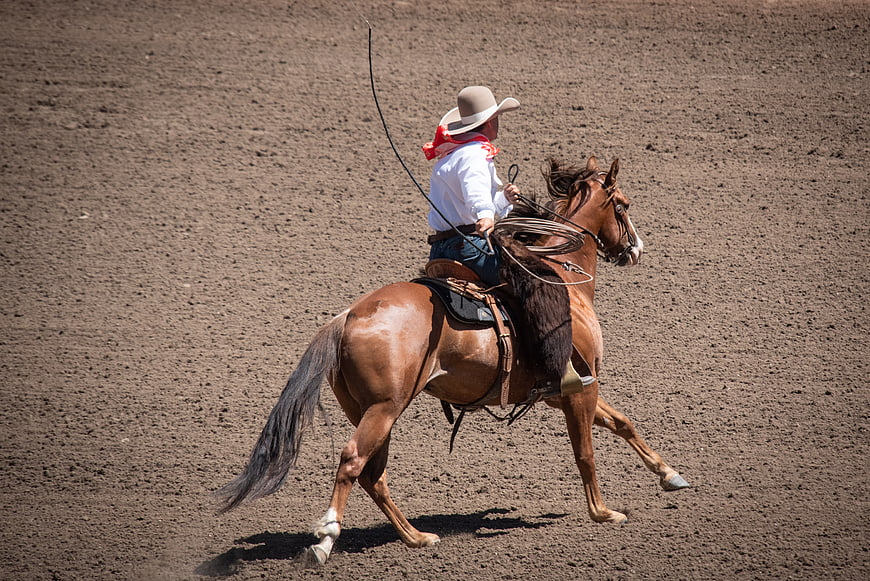 Cowboy Riding Horse with Lasso in Dirt Arena