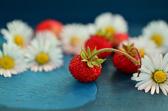 Fresh wild strawberries with daisies on blue background