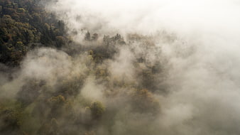 Aerial View of Misty Forest in Autumn Fog