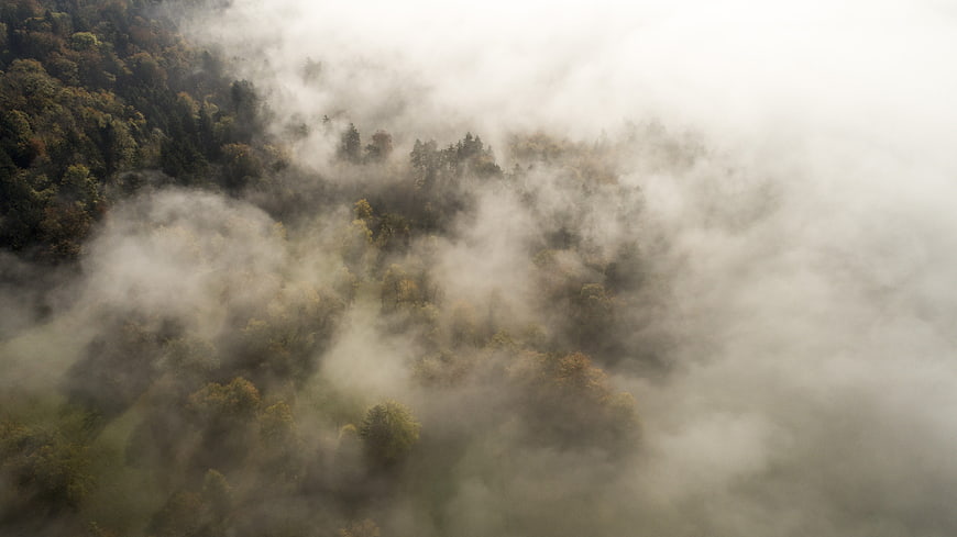 Aerial View of Misty Forest in Autumn Fog