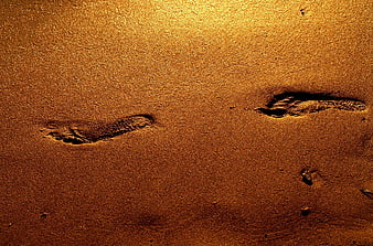 Golden Footprints In Sand